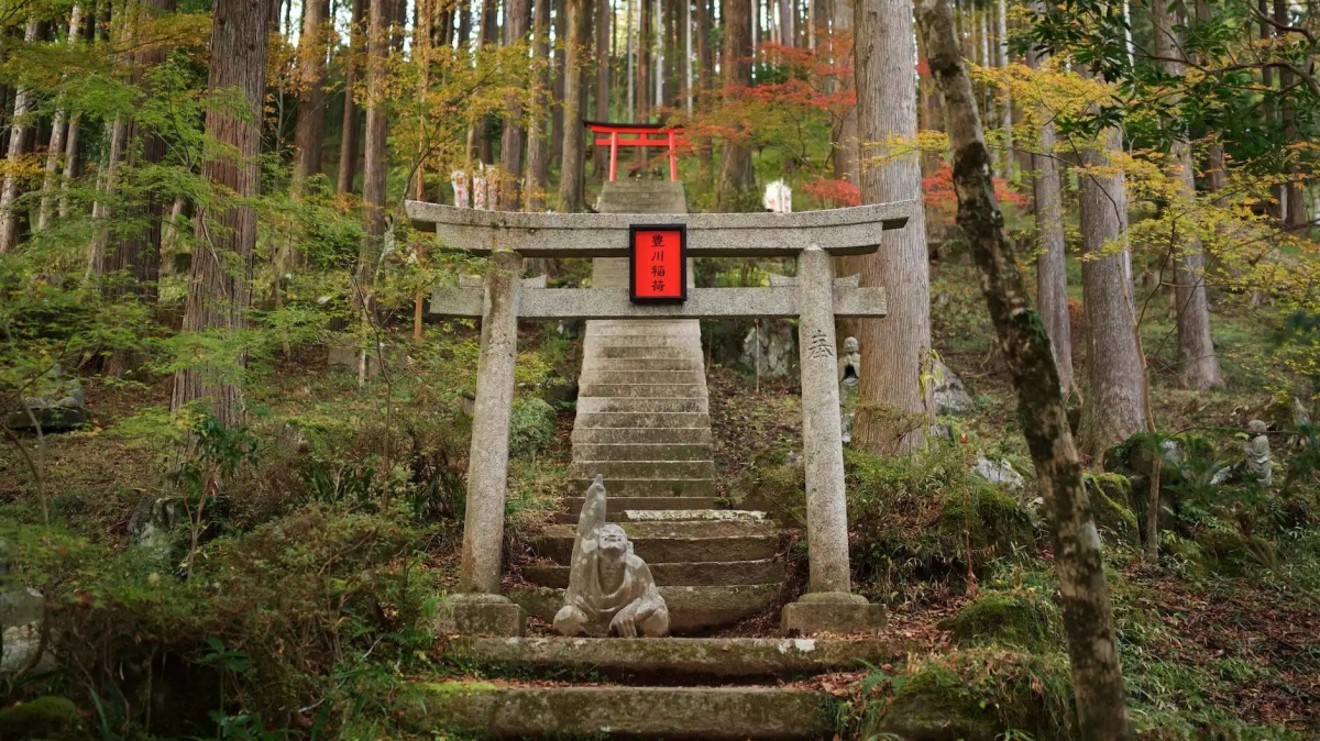 Video: Betreed de torii; de poort naar Jezelf @priscillasblog 🧡🧡🧡✌️🌊⛩…